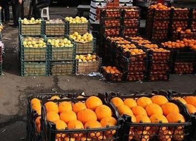 مسئله ای برای توزیع میوه شب عید در استان زنجان وجود ندارد