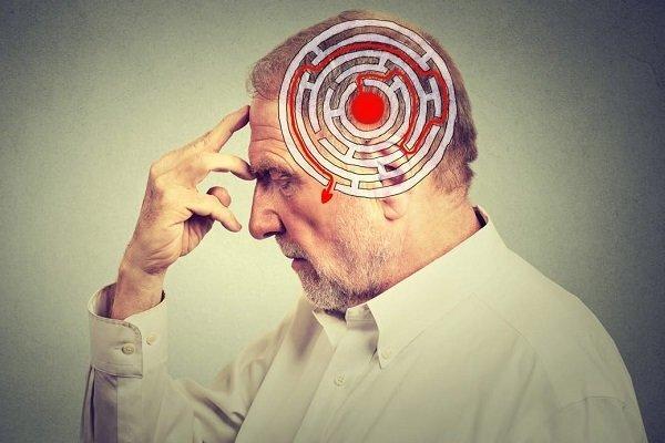 پخت غذا با شعله کم در پیشگیری از آلزایمر موثر است پخت غذا با شعله کم در پیشگیری از آلزایمر موثر است