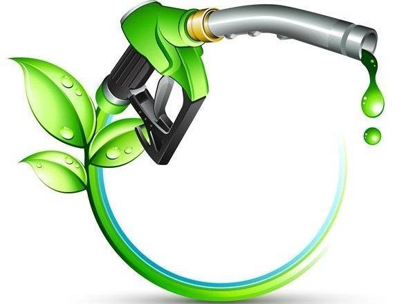 تولید سوخت زیستی توسط دو دانش آموز فراوری سوخت زیستی توسط دو دانش آموز