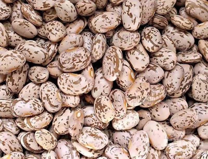 خواص لوبیا چیتی برای لاغری خواص لوبیا چیتی برای لاغری