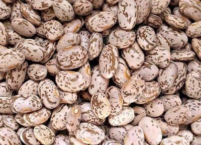 خواص لوبیا چیتی برای لاغری