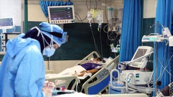 30 فوتی در شبانه روز گذشته ، 2394 بیمار دیگر شناسایی شدند 30 فوتی در شبانه روز گذشته ، 2394 بیمار دیگر شناسایی شدند